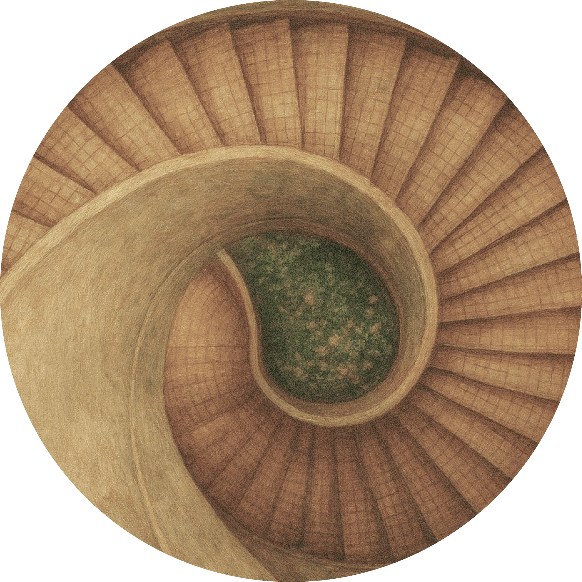 Left decorative circle